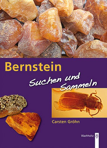 Bernstein - Suchen und Sammeln, Carsten Gröhn