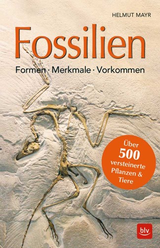 Fossilien – Formen, Merkmale, Vorkommen, Mayr H.