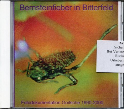 Bernsteinfieber in Bitterfeld - Fotodokumentation über die Goitsche