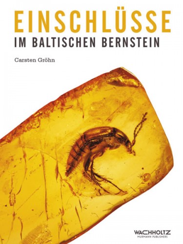 Einschlüsse im baltischen Bernstein, Carsten Gröhn
