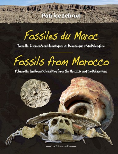 Fossiles du Maroc / Fossils from Morocco Vol.2a, Patrice Lebrun