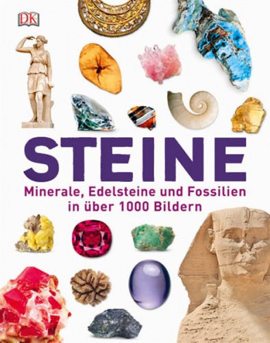 Fossilien Buch Paläontologie