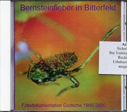 Bernsteinfieber in Bitterfeld - Fotodokumentation über die Goitsche