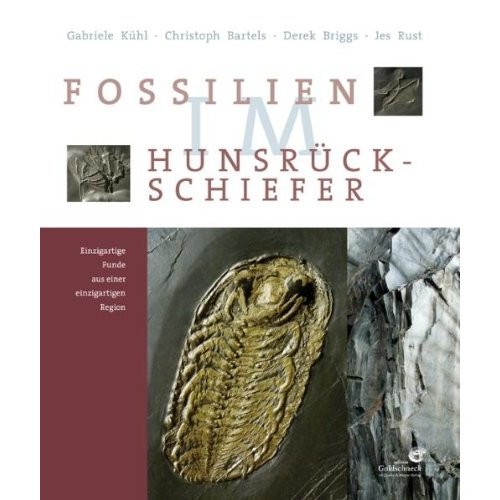 Fossilien im Hunsrück- Schiefer, Kühl