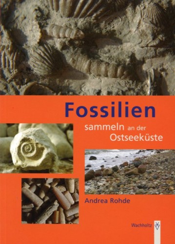 Fossilien sammeln an der Ostseeküste, Rohde