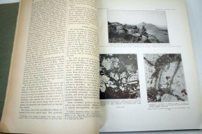 LOUGHLIN G. F. , KOSCHMANN A.H. - Geology and ore deposits of the Magdalena Mining District, New Mexico.